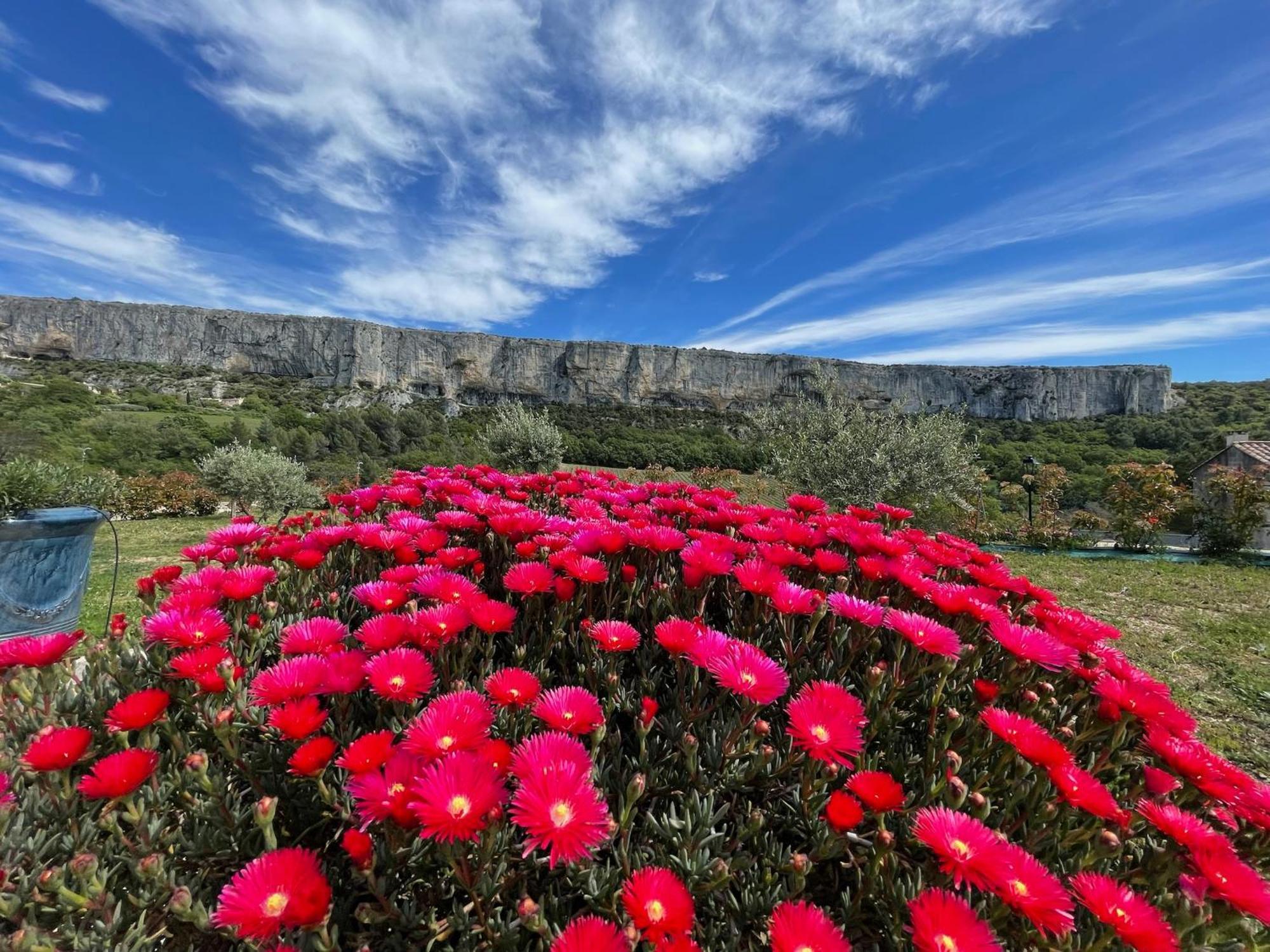 Gite La Madeleine Du Luberon. Villa Lioux Buitenkant foto