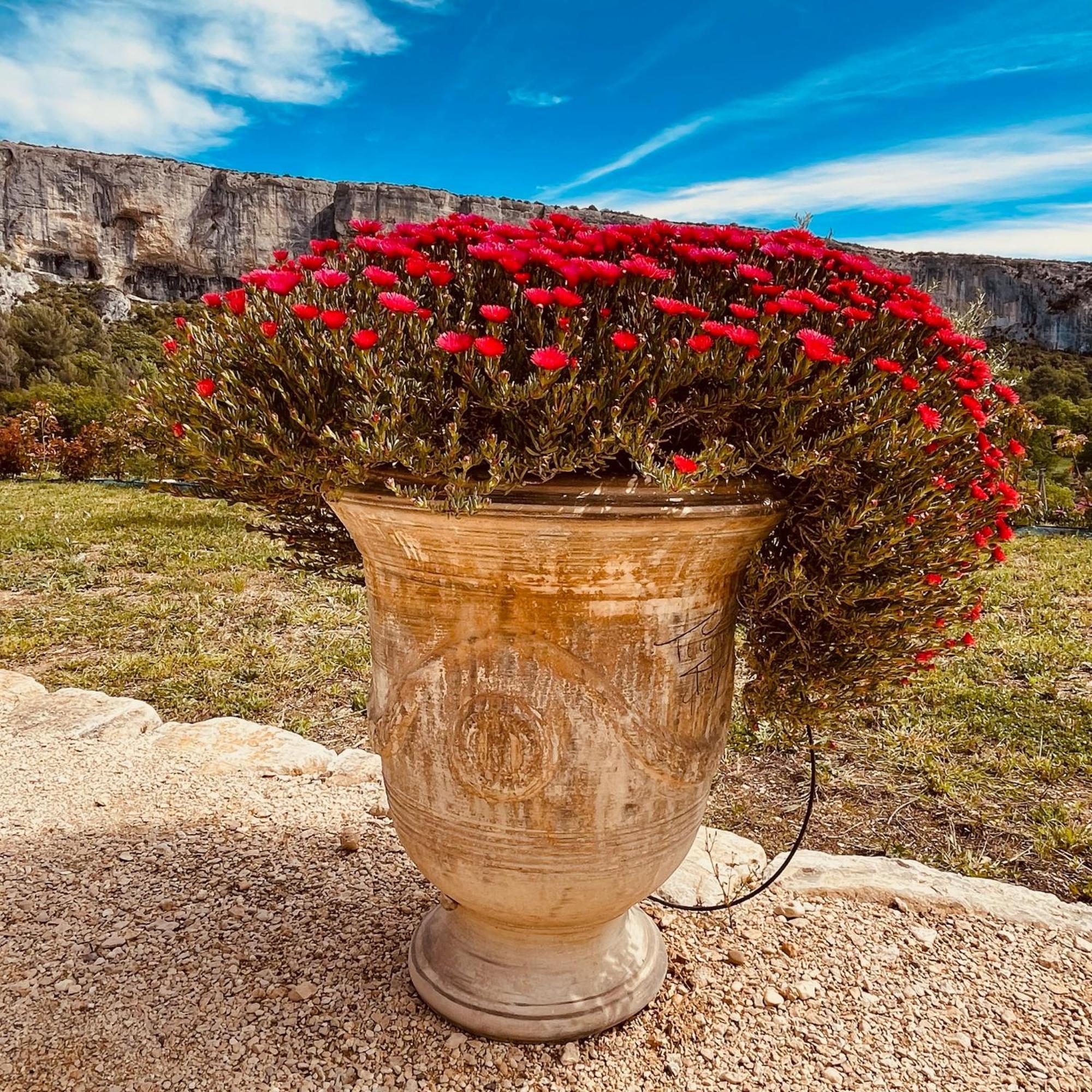 Gite La Madeleine Du Luberon. Villa Lioux Buitenkant foto